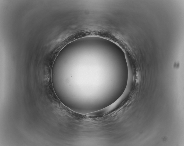 X0000091931253200709051454