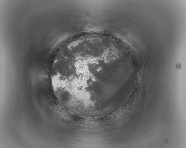 X0000091931254200709051454