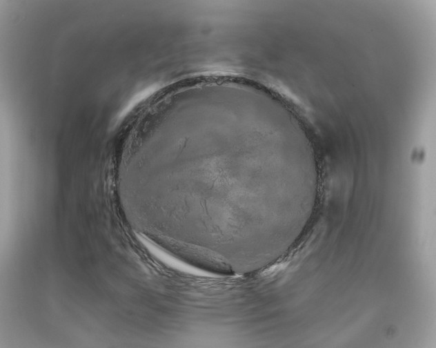 X0000091931255200709051454