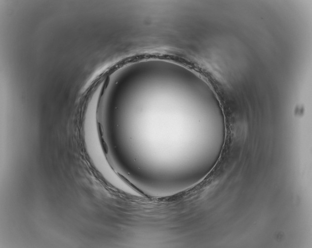 X0000091931256200709051454