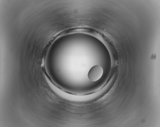 X0000091931257200709051454