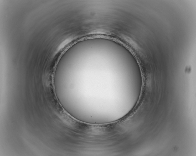 X0000091931258200709051454