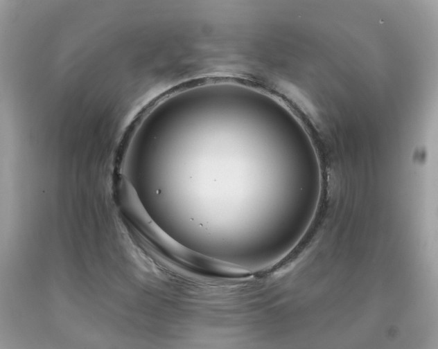 X0000091931260200709051454