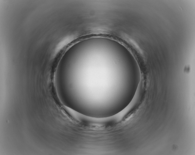 X0000091931261200709051454