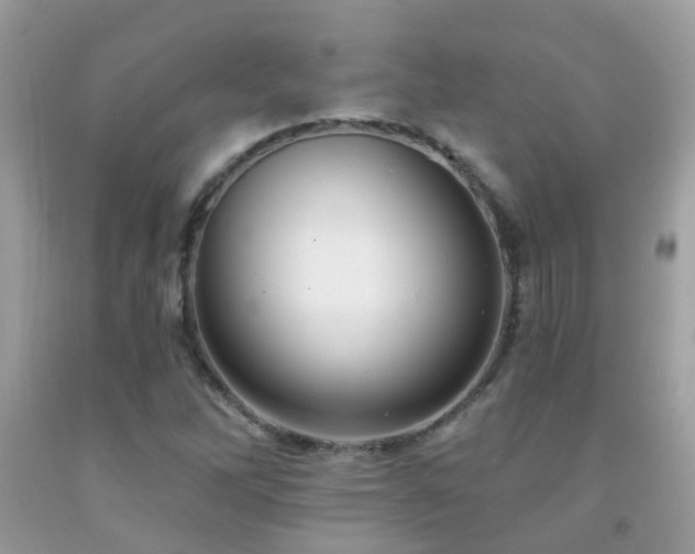 X0000091931262200709051454