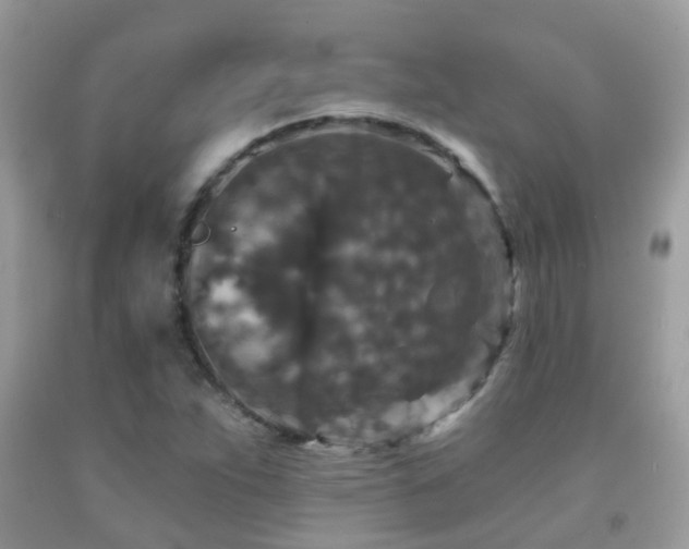 X0000091931263200709051454