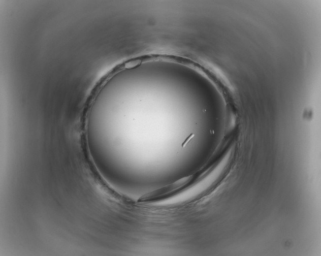 X0000091931264200709051454