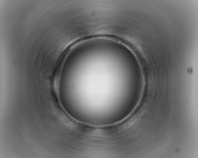 X0000091931265200709051454