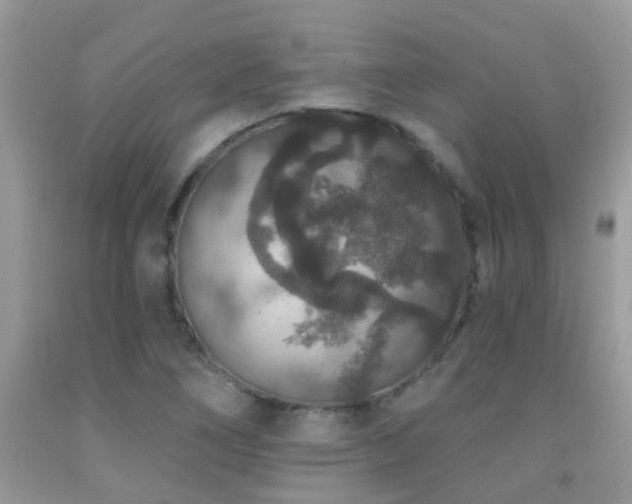 X0000091931266200709051454