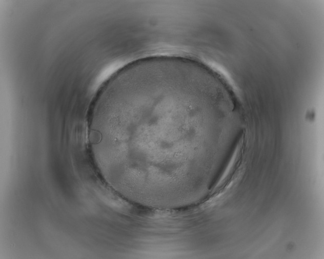 X0000091931267200709051454