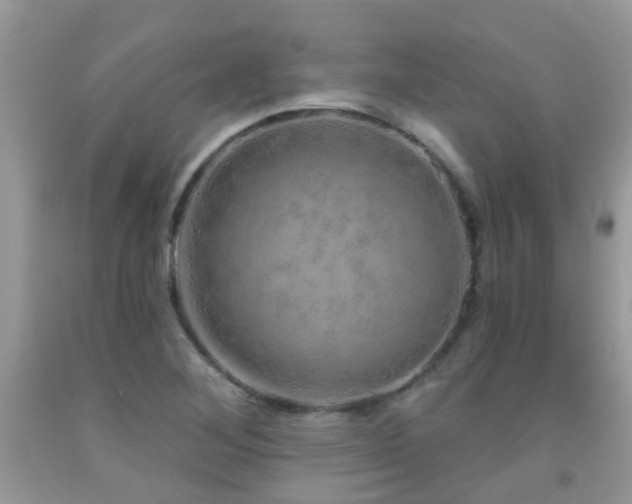 X0000091931268200709051454