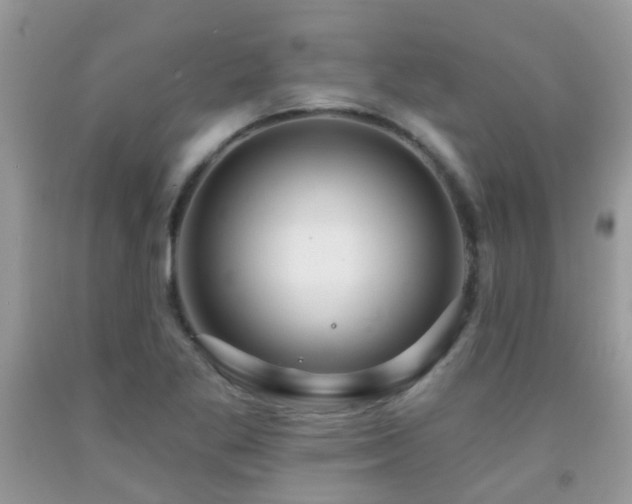 X0000091931269200709051454
