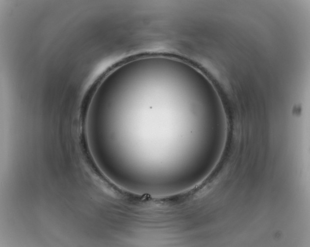 X0000091931270200709051454