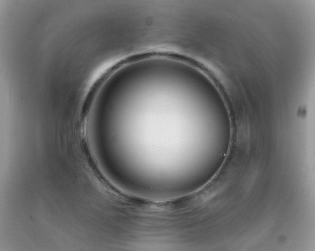 X0000091931271200709051454