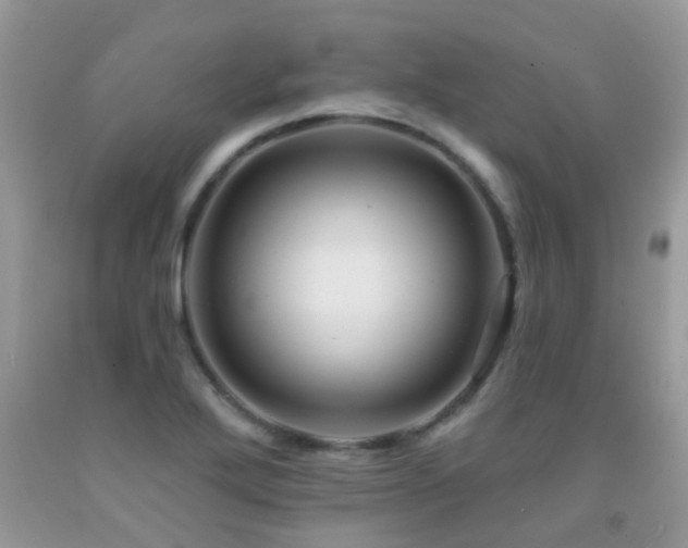 X0000091931272200709051454