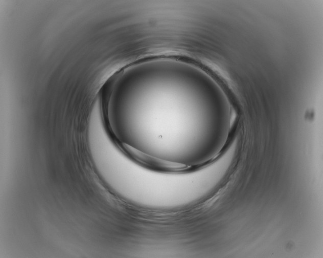 X0000091931273200709051454