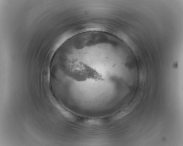 X0000091931274200709051454