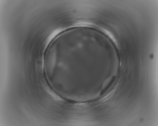 X0000091931275200709051454