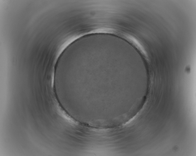 X0000091931276200709051454