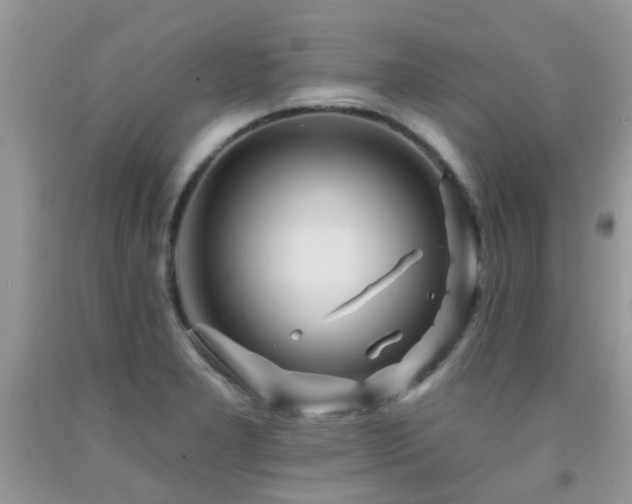 X0000091931277200709051454