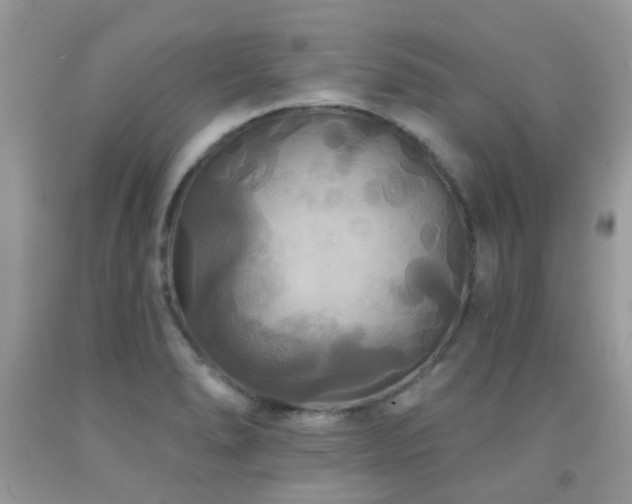 X0000091931278200709051454