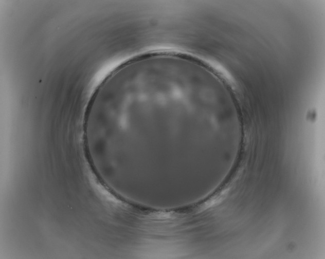 X0000091931279200709051454
