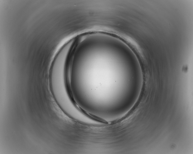 X0000091931280200709051454