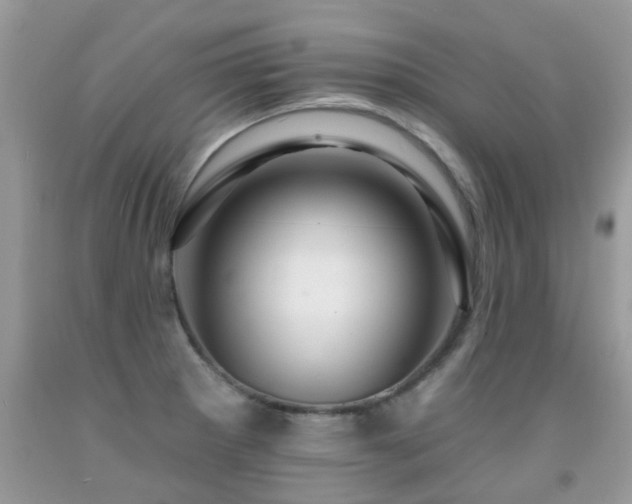 X0000091931281200709051454