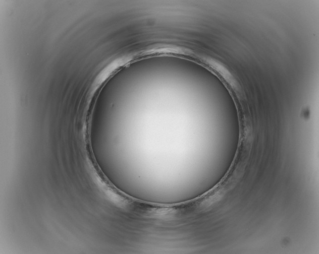 X0000091931282200709051454