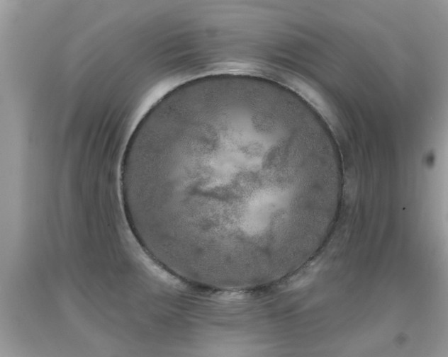 X0000091931283200709051454