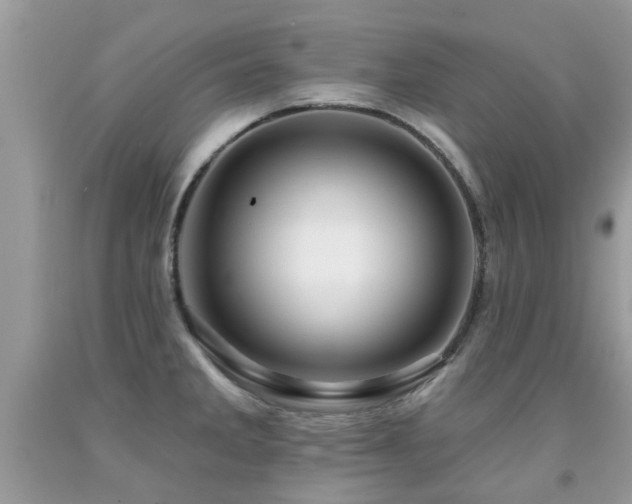 X0000091931285200709051454