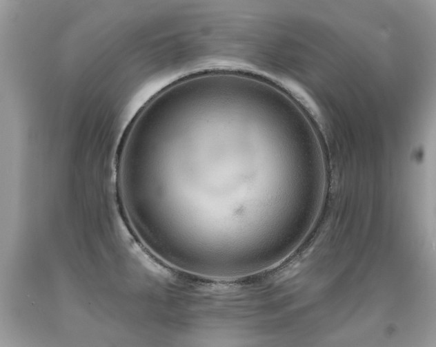 X0000091931287200709051454
