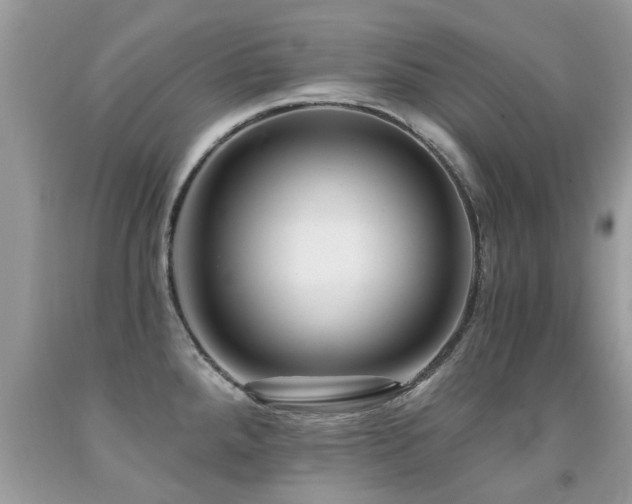 X0000091931288200709051454