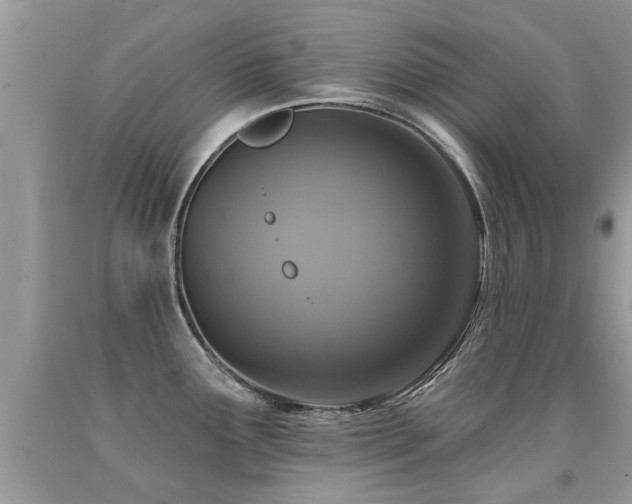 X0000091931291200709051454