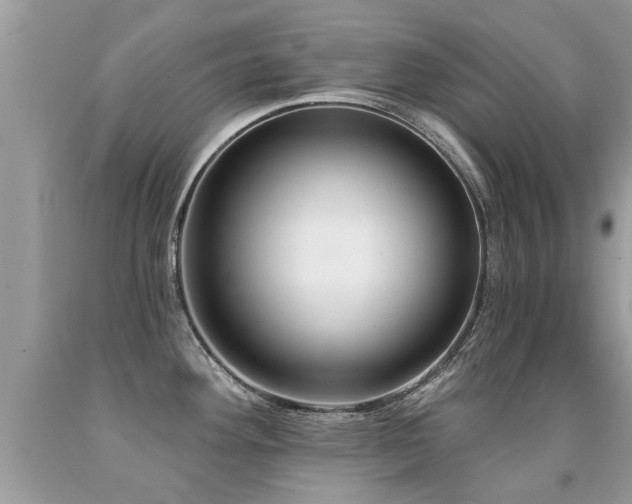 X0000091931292200709051454