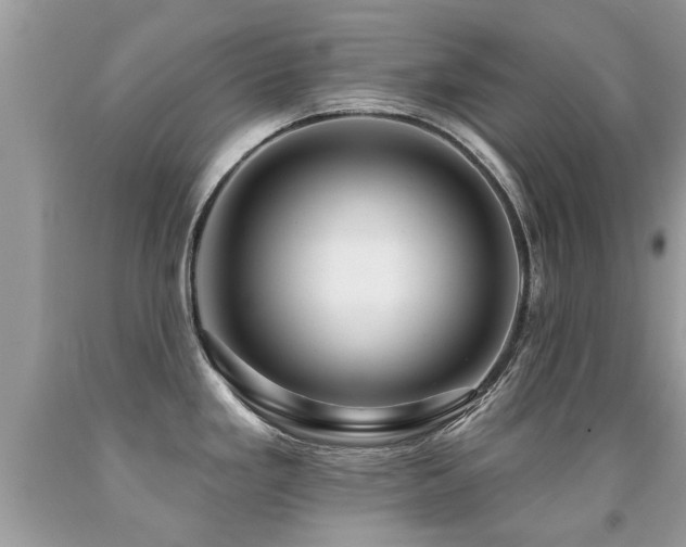 X0000091931293200709051454