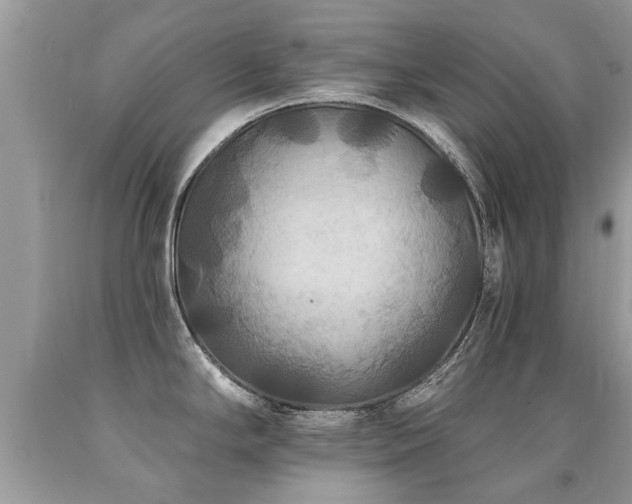 X0000091931294200709051454