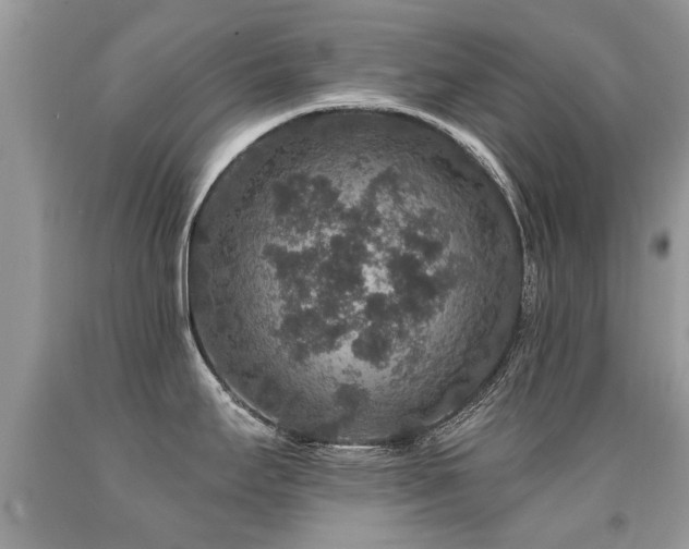 X0000091931295200709051454