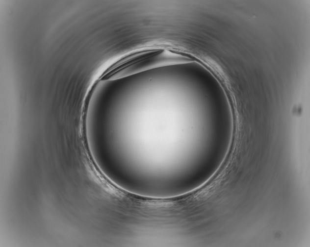X0000091931296200709051454