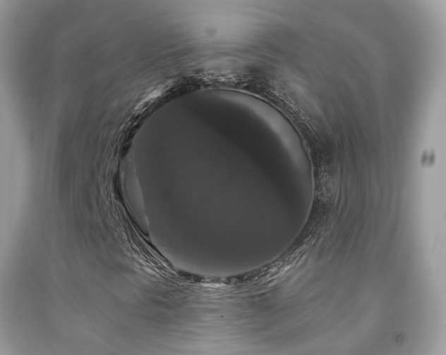 X0000091931297200709051453