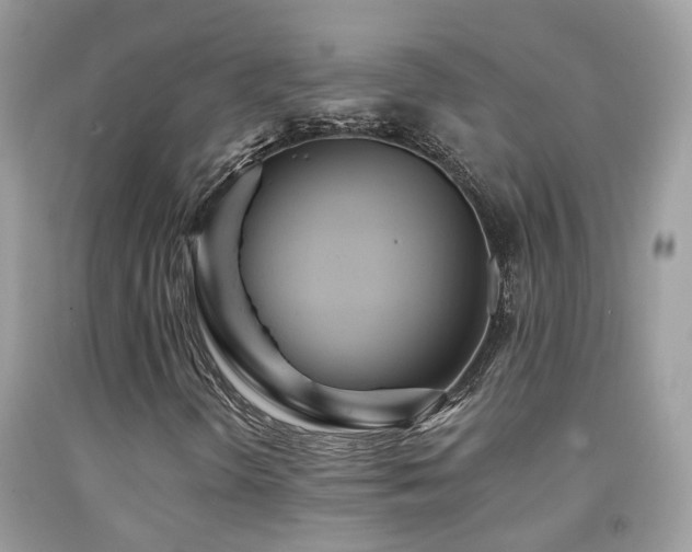 X0000091931298200709051453