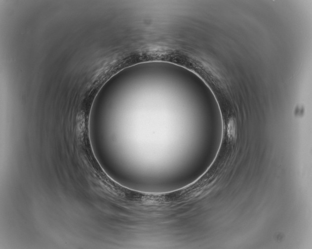 X0000091931299200709051453