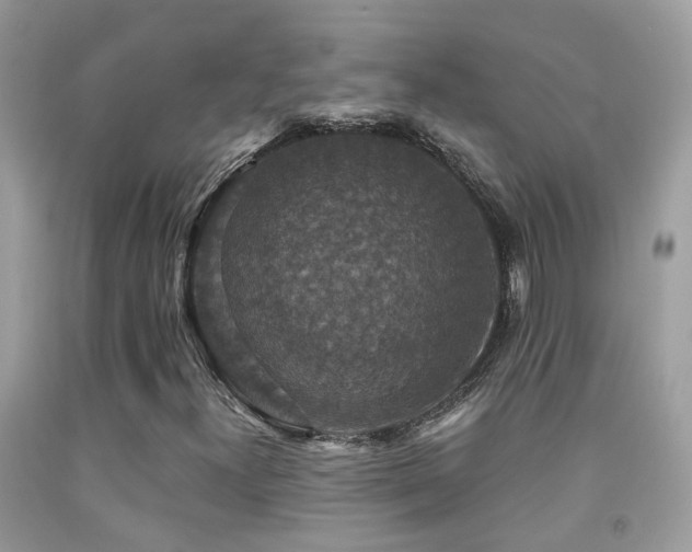 X0000091931300200709051453