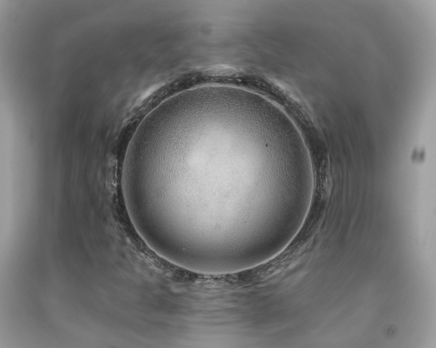 X0000091931301200709051453