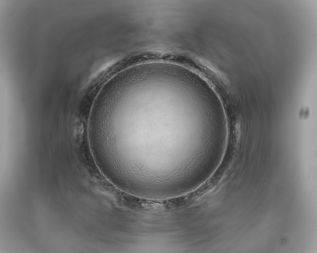 X0000091931302200709051453