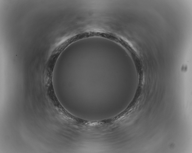X0000091931303200709051453