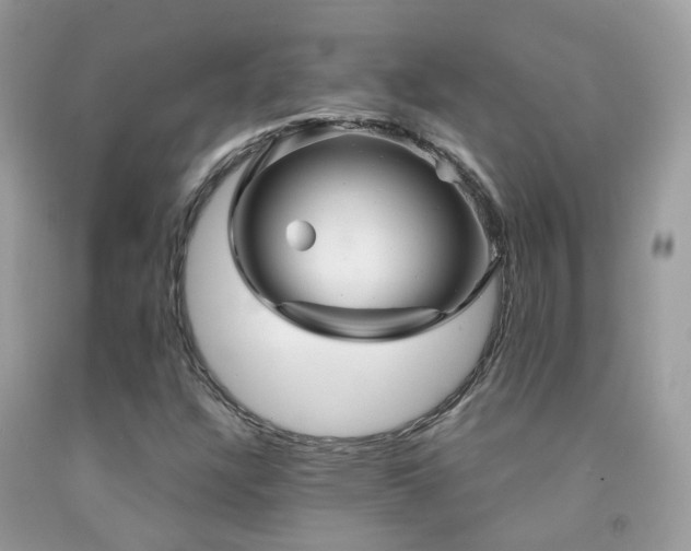 X0000091931304200709051453