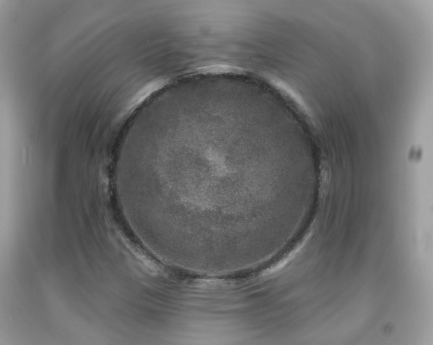 X0000091931305200709051453