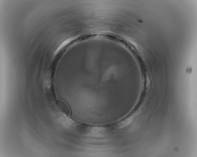 X0000091931306200709051453