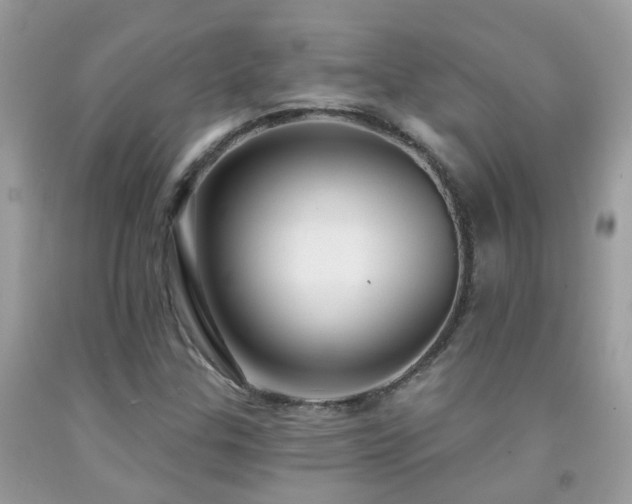 X0000091931307200709051453